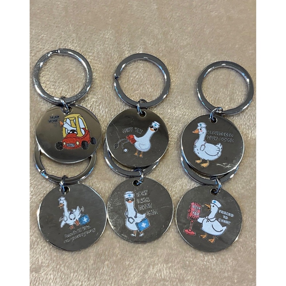 Funny Nurse Silly Goose Keychain Set (6) Medical Humor Gift
